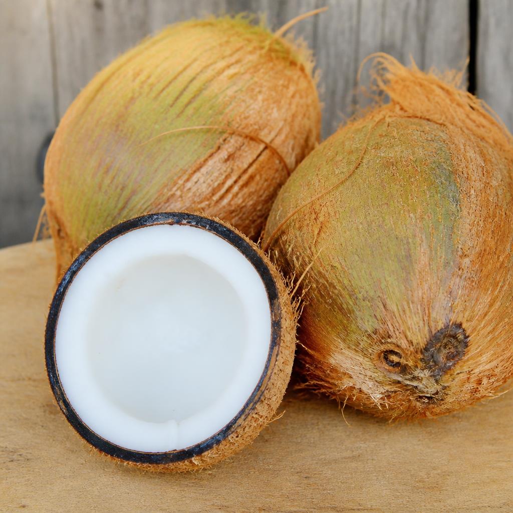 Fresh Indian brown semi-husked coconut for export